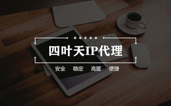 【东莞代理IP】如何快速搭建代理IP？怎么检查代理的效果？